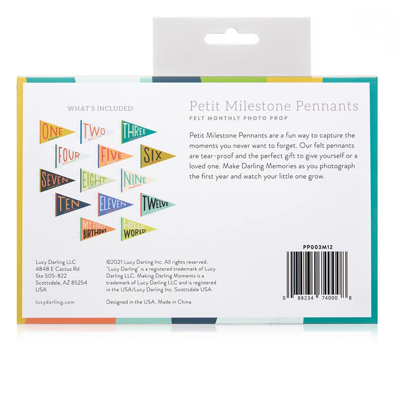 Lucy Darling Petit Milestone Pennant Set - Image 3